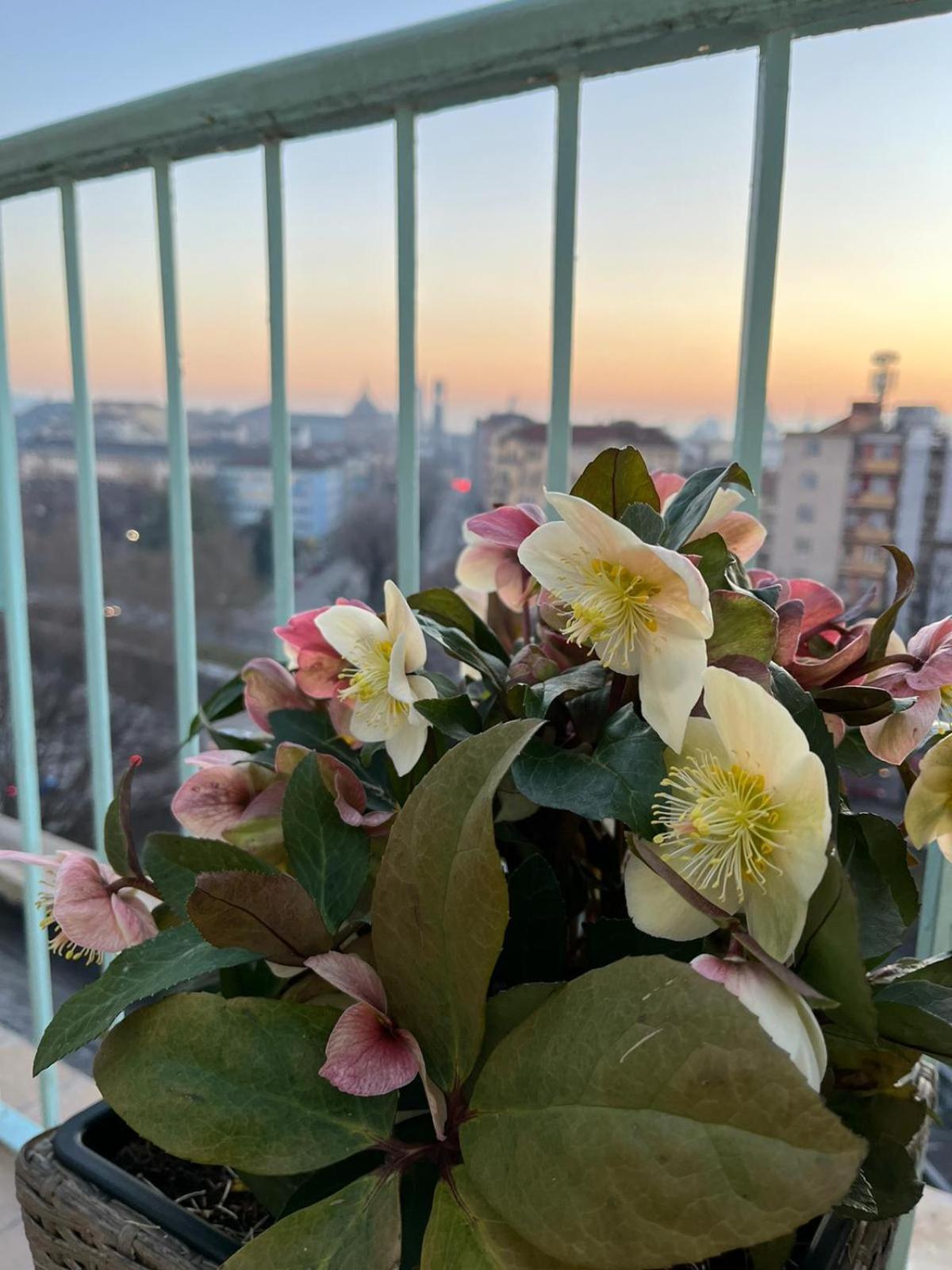 Attico Ellen Terrazza Con Vista Apartment Turin Luaran gambar