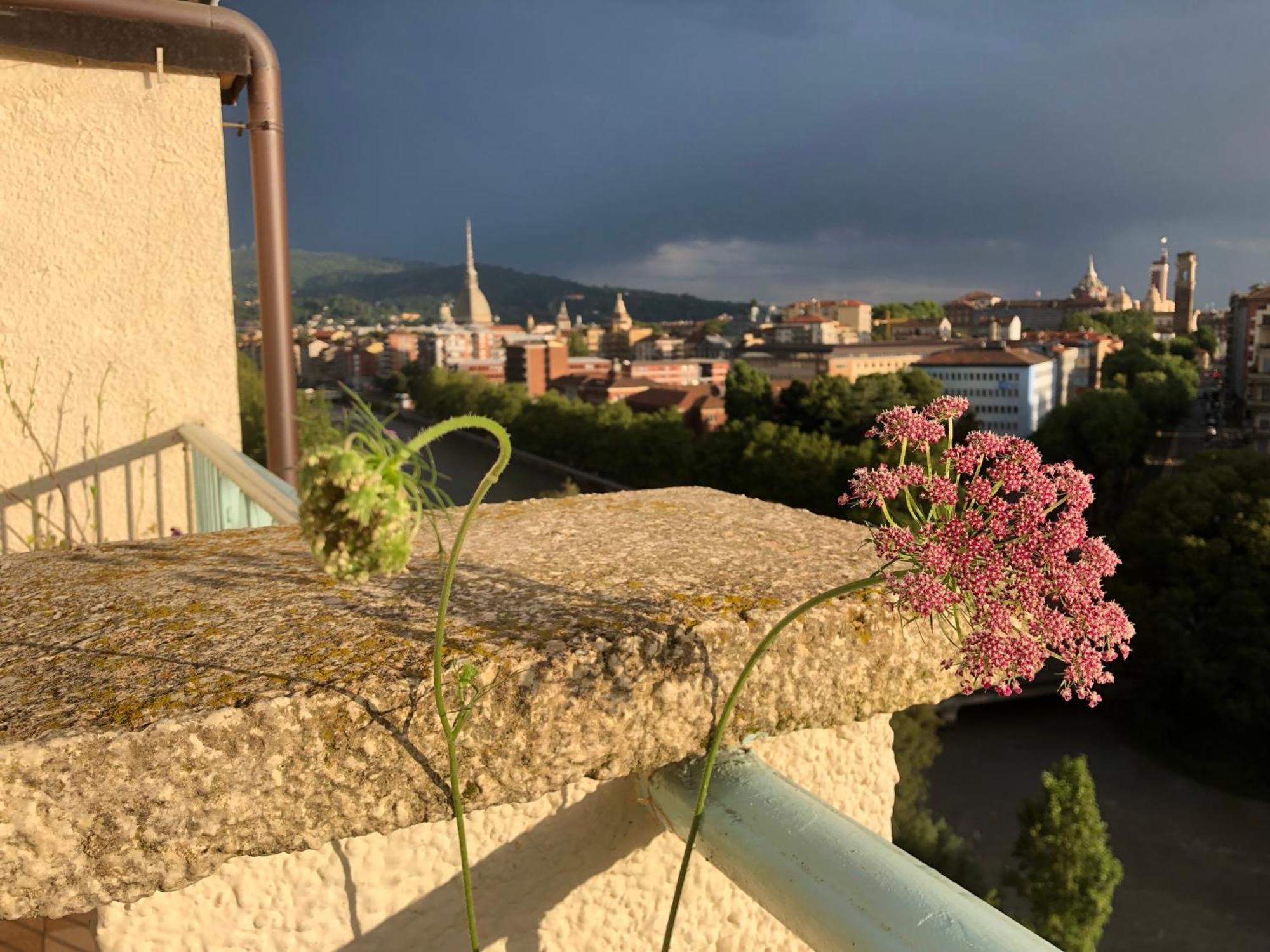 Attico Ellen Terrazza Con Vista Apartment Turin Luaran gambar